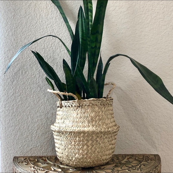 Foldable pots plants cover - Picture 1 of 1